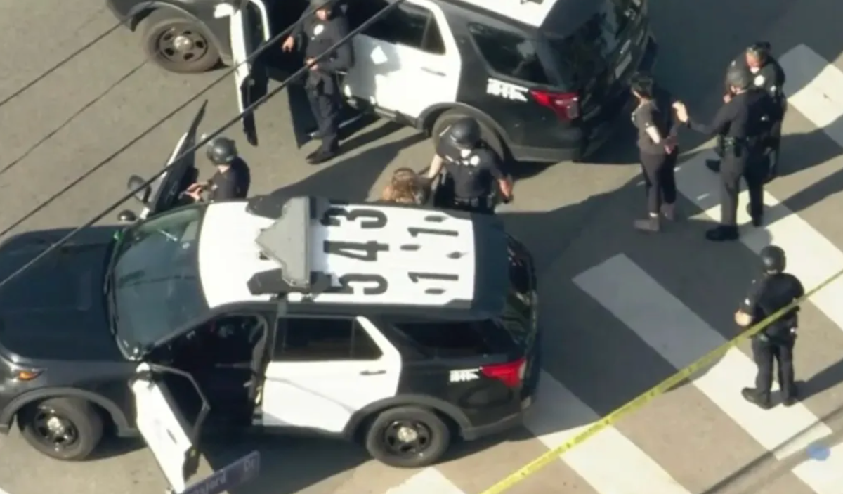 Weezer bassist Scott Shriner's wife shot by cops, arrested for attempted murder