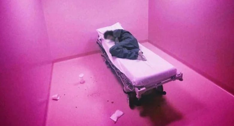 Crippling Alcoholism share “bedrot” off forthcoming album 'Camgirl'