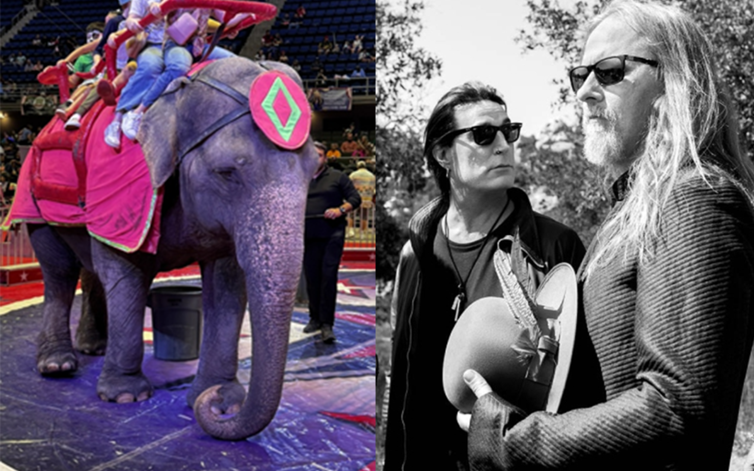PETA asks Alice in Chains to change name to raise awareness for disabled elephant