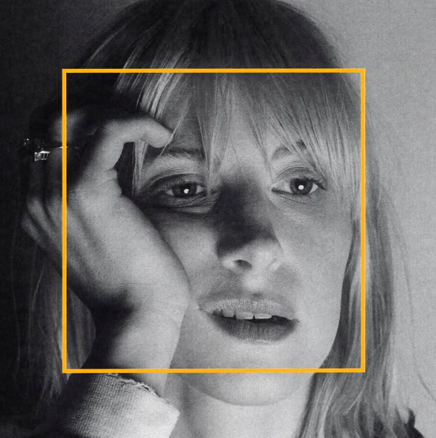 Hayley Williams takes aim at Donald Trump, Jeffrey Epstein, and more in a fiery essay