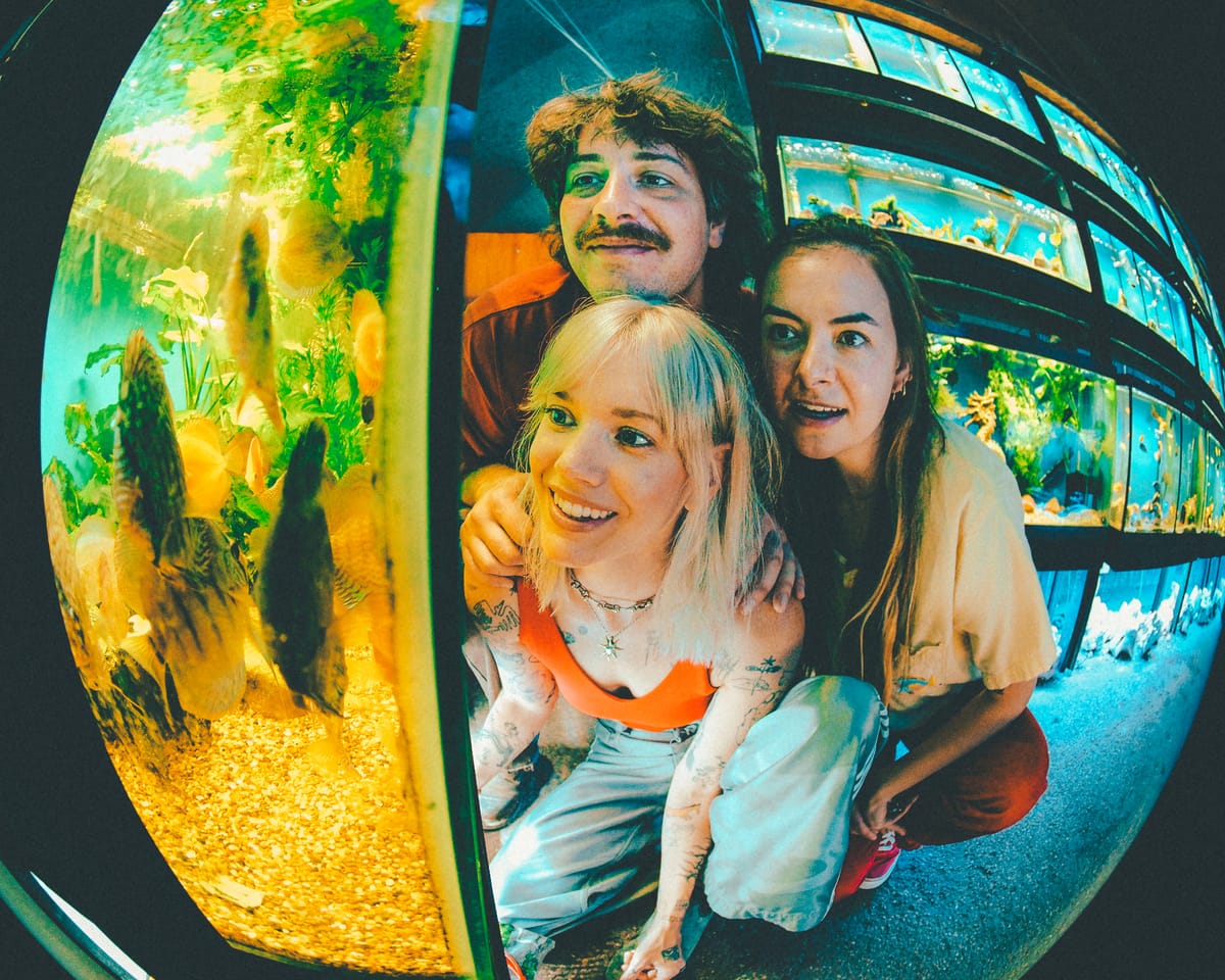 Being Dead sign to Polyvinyl, release new double single