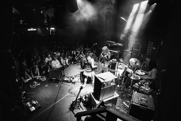 INTERVIEW: mary in the junkyard stretch beyond their means on 'Role Model Hermit'