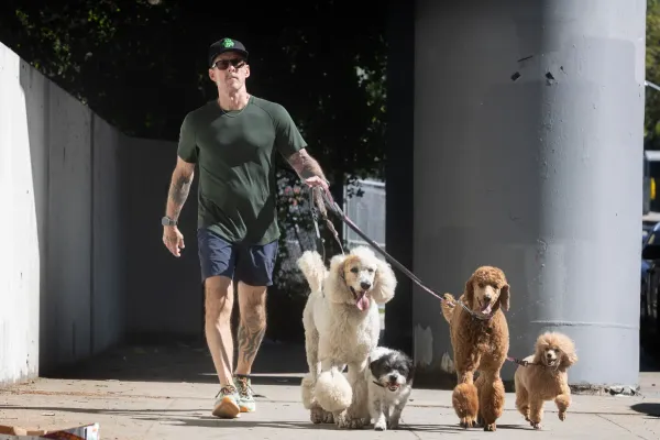 Weezer's Scott Shriner plugs upcoming show after wife shot by police: "See you at Coachella!"